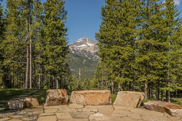121 Old Toby Rd, Big Sky, MT 59716 - photo 24