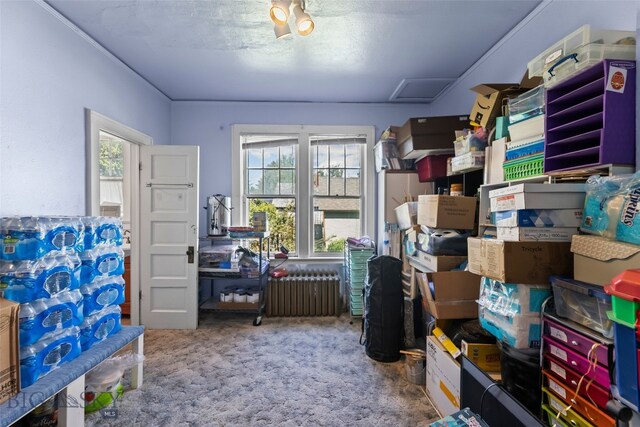 236 S 3rd St, Livingston, MT 59047 - photo 72