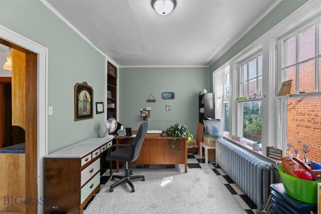 236 S 3rd St, Livingston, MT 59047 - photo 85
