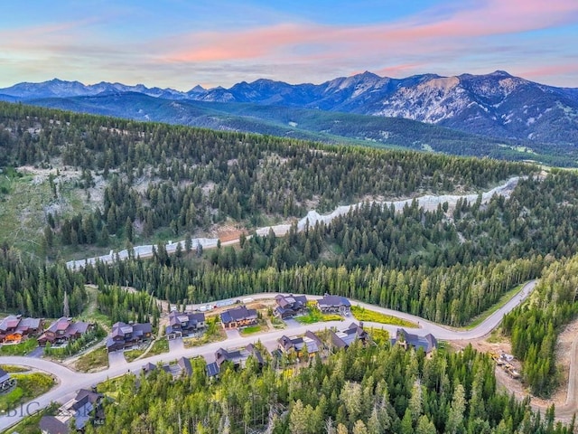 538 Outlook Trl, Big Sky, MT 59716 - photo 64