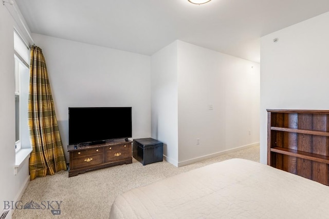 2440 Tschache Ln Unit 304, Bozeman, MT 59718 - photo 20