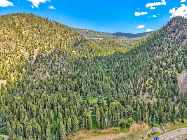 440 Greek Creek Rd, Gallatin Gateway, MT 59730 - photo 41
