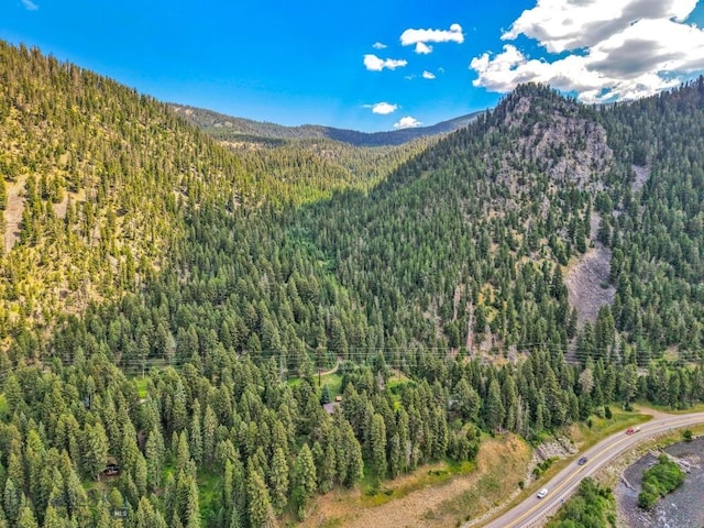 440 Greek Creek Rd, Gallatin Gateway, MT 59730 - photo 42