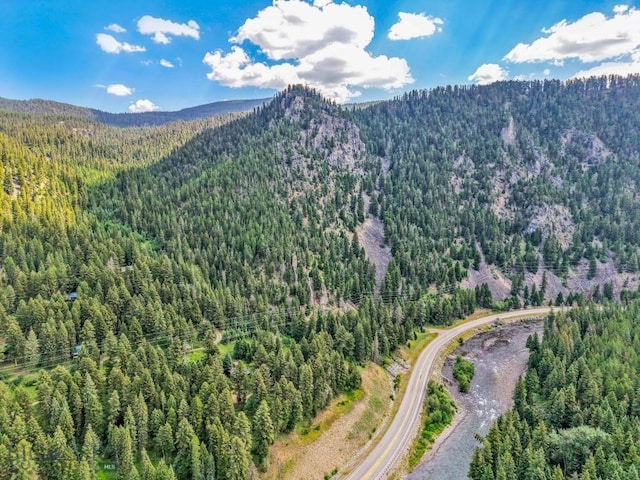 440 Greek Creek Rd, Gallatin Gateway, MT 59730 - photo 43