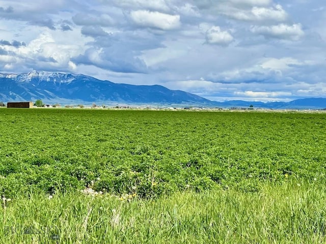 1480 Bolinger Rd, Belgrade, MT 59714 - photo 8