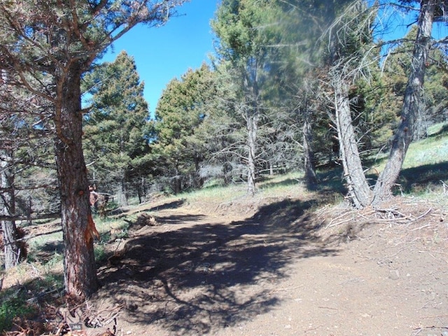 TBD High Ore Rd, Boulder, MT 59632 - photo 9