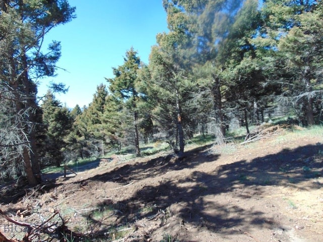 TBD High Ore Rd, Boulder, MT 59632 - photo 10