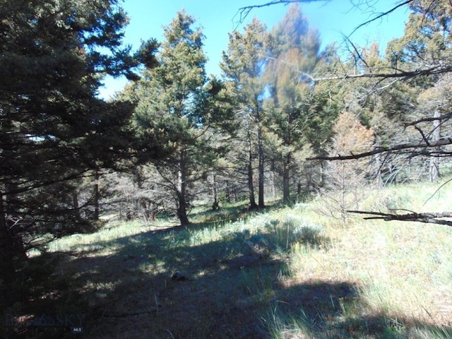 TBD High Ore Rd, Boulder, MT 59632 - photo 16