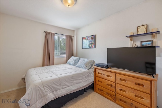 2615 Daisy Dr, Bozeman, MT 59718 - photo 34