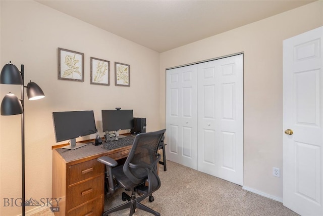 2615 Daisy Dr, Bozeman, MT 59718 - photo 20