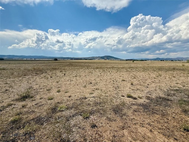 NHN Blacktail Loop, Butte, MT 59701 - photo 1