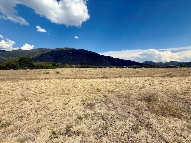 NHN Blacktail Loop, Butte, MT 59701 - photo 4