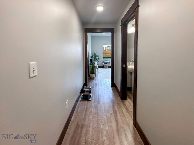 1501 Westwood Unit B, Belgrade, MT 59714 - photo 41