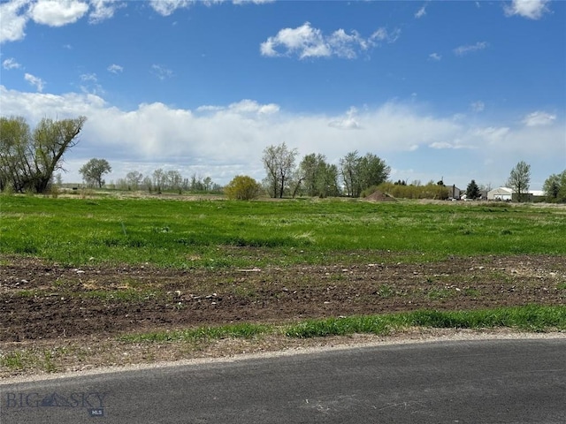 5 Liberty Dr, Bozeman, MT 59718 - photo 11
