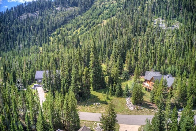 Listing photo 3 for 28 Low Dog Rd, Big Sky MT 59716