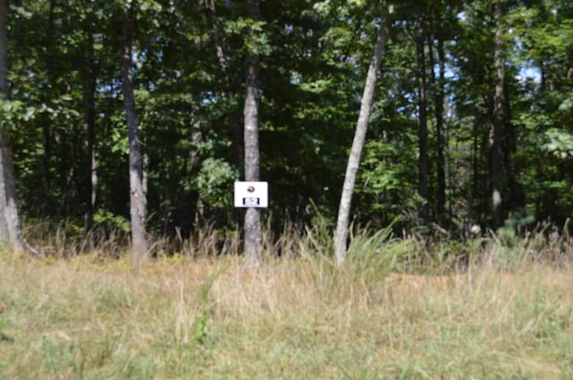 LOT52 Black Diamond Dr, New Castle VA, 24127 land for sale