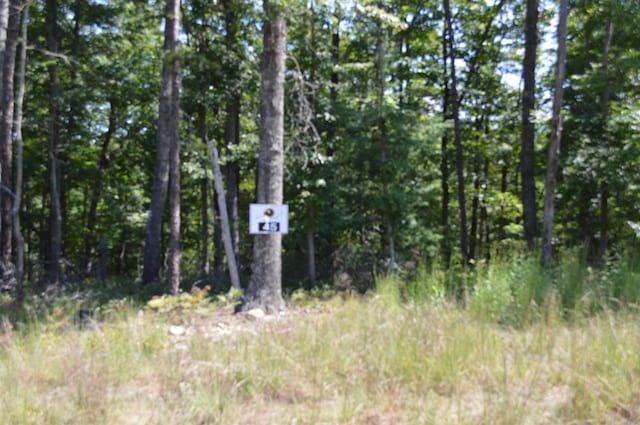 LOT45 Black Diamond Dr, New Castle VA, 24127 land for sale