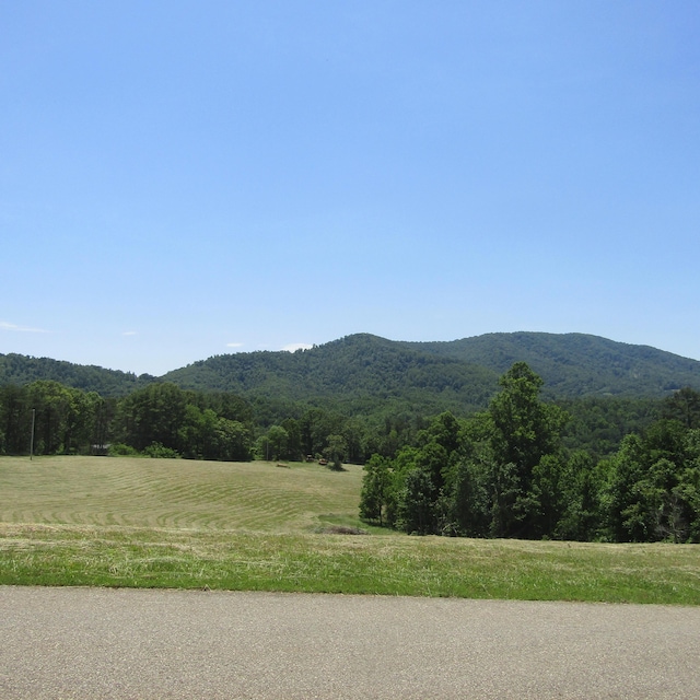 Listing photo 3 for LOT40 River Rock Rd, Vinton VA 24179