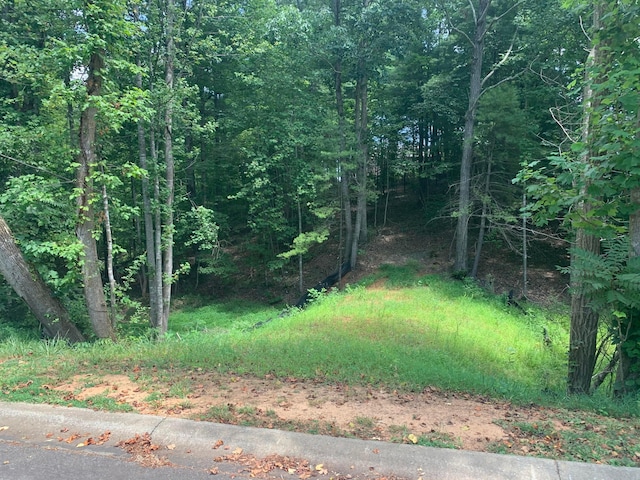 LOT13 Creekwood Dr, Rocky Mount VA, 24151 land for sale