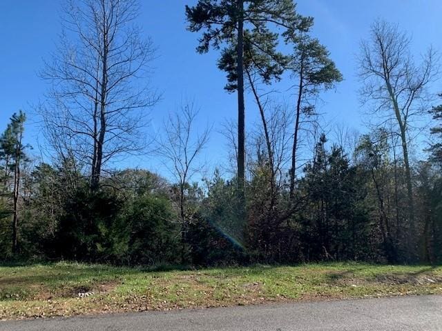 Listing photo 2 for LOT117 Chase Run, Lynch Station VA 24571