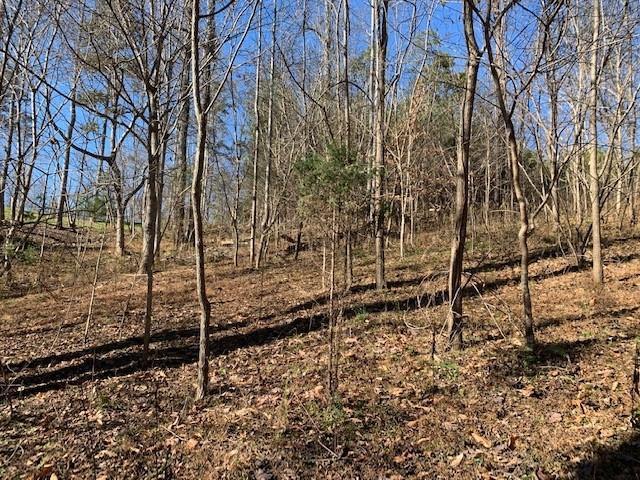 Listing photo 3 for LOT117 Chase Run, Lynch Station VA 24571