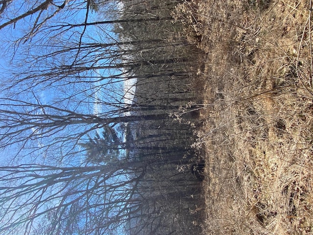 Listing photo 2 for LOT28 River Rock Rd, Vinton VA 24179