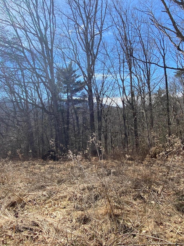 Listing photo 3 for LOT28 River Rock Rd, Vinton VA 24179