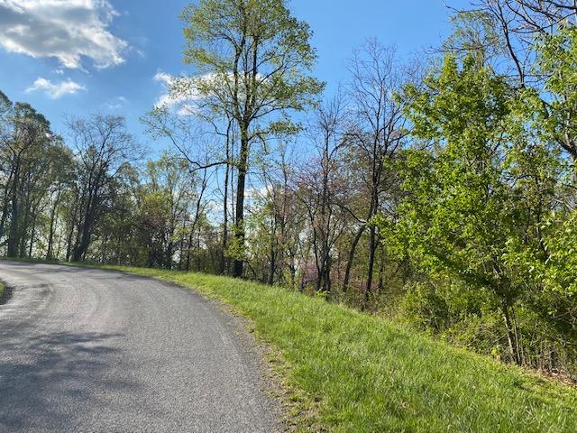 Listing photo 3 for 0 Jeters Chapel Rd, Vinton VA 24179