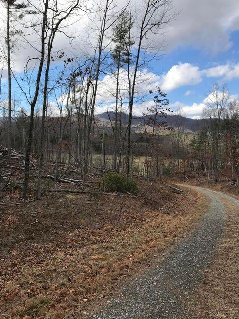 000 Dillons Mill Rd, Boones Mill VA, 24065 land for sale