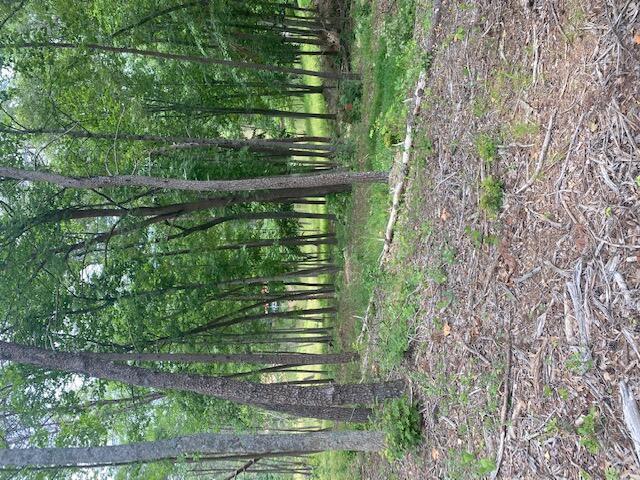 LOT96 Crestview Ct, Wirtz VA, 24184 land for sale