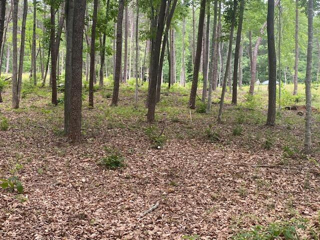 Listing photo 2 for LOT96 Crestview Ct, Wirtz VA 24184