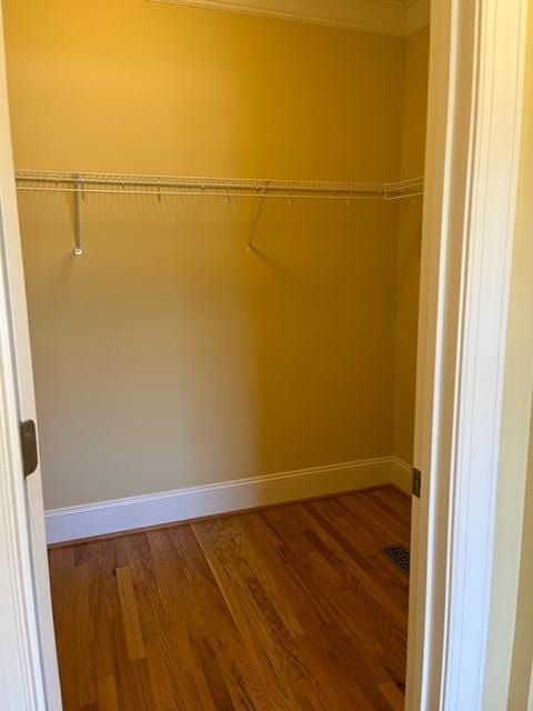 spacious closet featuring dark wood-type flooring