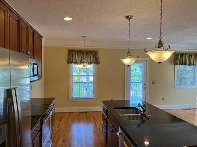 kitchen with decorative light fixtures, sink, light wood-type flooring, and stainless steel appliances