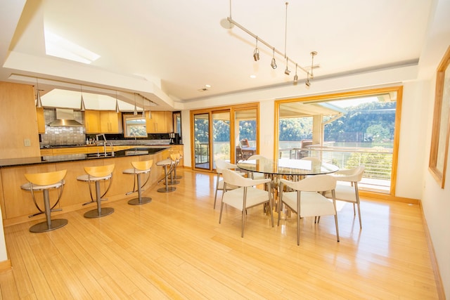 dining room with sink, light wood-type flooring, rail lighting, and a healthy amount of sunlight