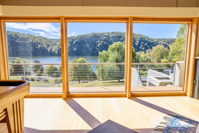 doorway with hardwood / wood-style floors, a healthy amount of sunlight, and a water view