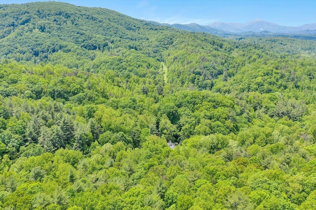 view of mountain view