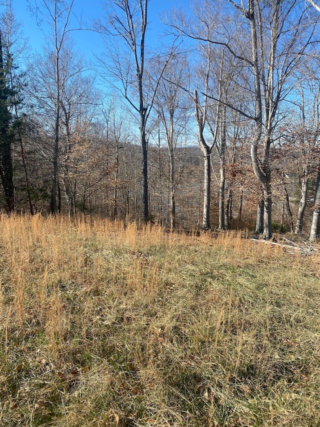 Listing photo 2 for LOT13 Minnow Ln, Goodview VA 24095