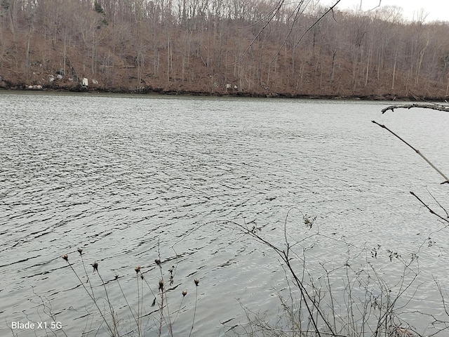 view of water feature