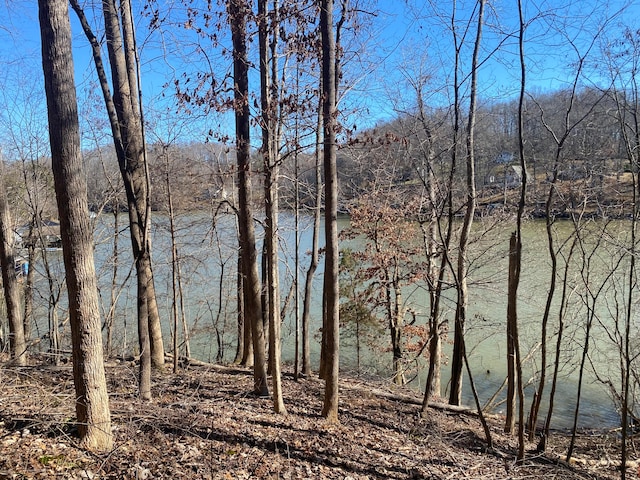 LOT29 Lake View Pt, Glade Hill VA, 24092 land for sale