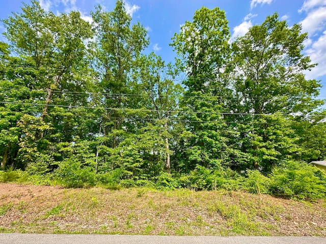 Listing photo 3 for Lot1 Lot1 St St, Clifton Forge VA 24422