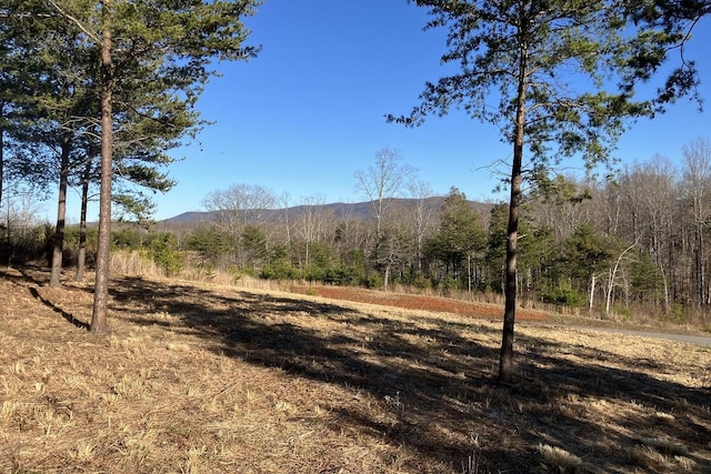 LOT5 Dillards Hill Rd, Union Hall VA, 24176 land for sale