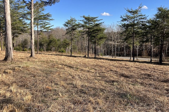 Listing photo 3 for LOT5 Dillards Hill Rd, Union Hall VA 24176