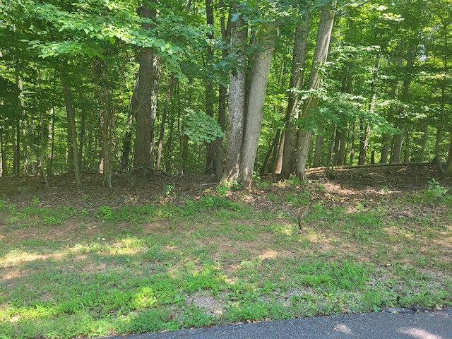 LOT74 Land Harbor Ln, Moneta VA, 24121 land for sale