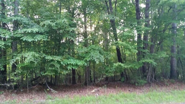 LOT1 Mallard Point Rd, Wirtz VA, 24184 land for sale