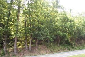 0 Sugar Loaf Mountain Rd, Roanoke VA, 24018 land for sale