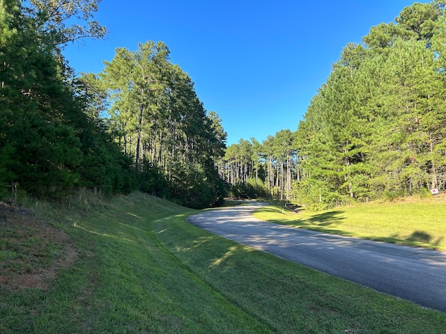 Listing photo 2 for LOT313 Jeramiah Run, Lynch Station VA 24571