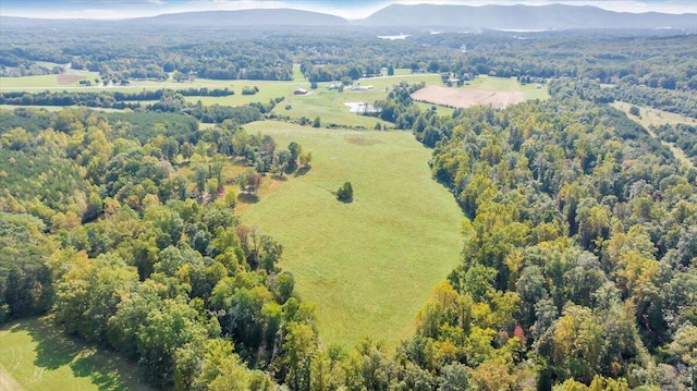 view of bird's eye view