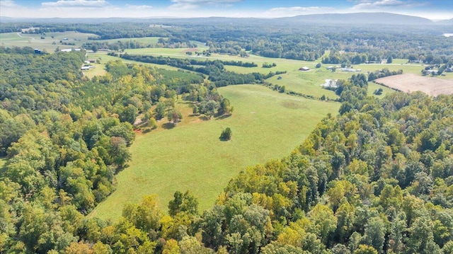 view of bird's eye view