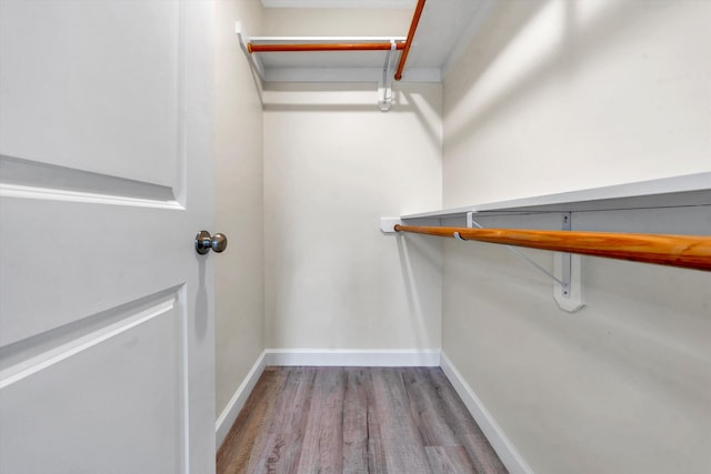 walk in closet featuring hardwood / wood-style floors