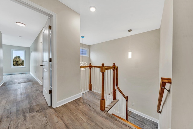 corridor with wood-type flooring